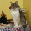 Отзыв от Надежда Крюкова